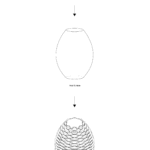 The seed aggregated horizontally on the host surface using Rhino.