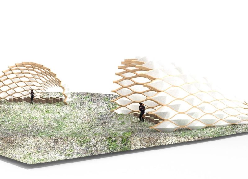 The abstraction of a quarter volume forms an intimate geometry for gathering spaces, supporting the education of communities and children about agroforestry.