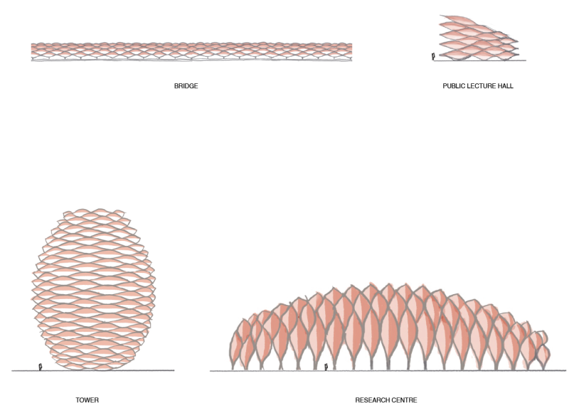 From iterative testing, four spatial families were selected based on structural efficiency, programmatic adaptability, and landscape integration.